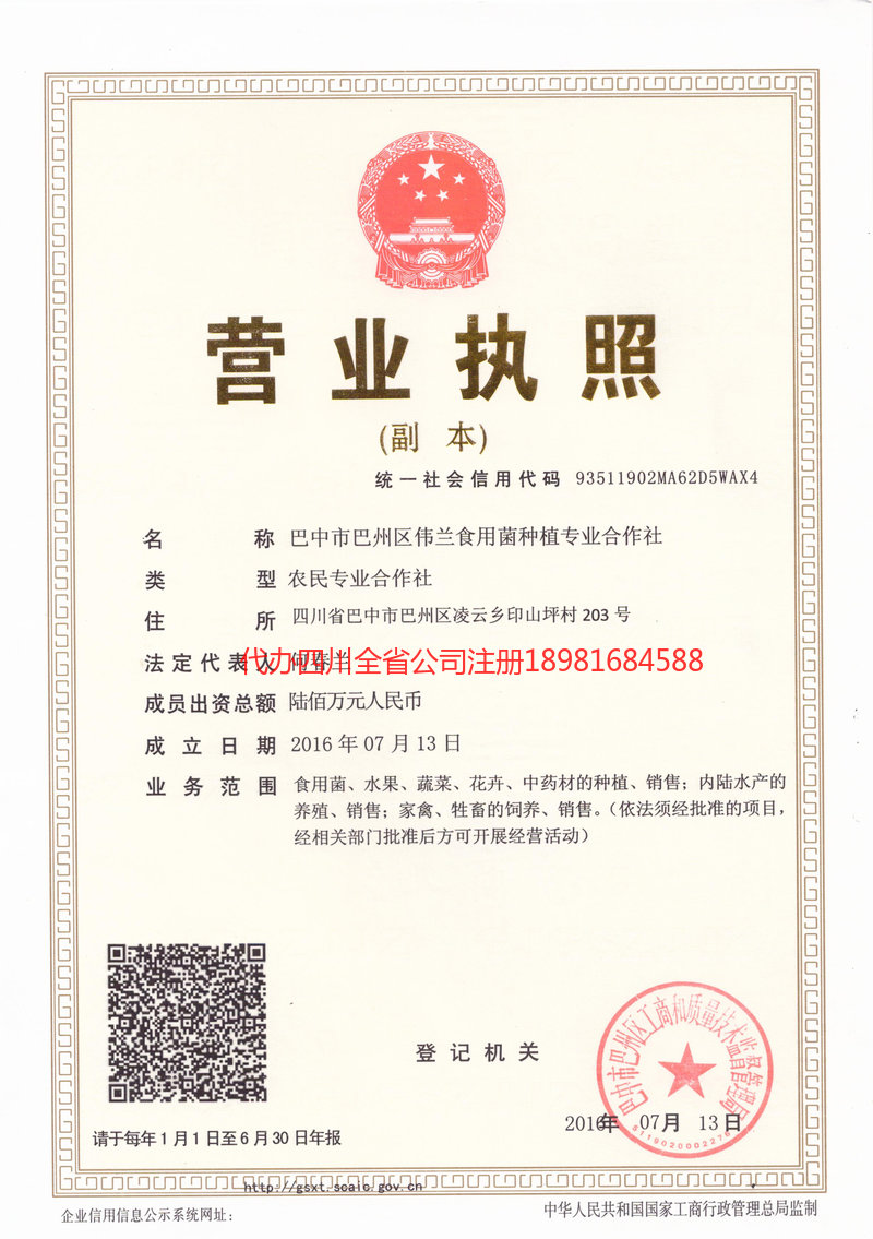 永川永川伟兰食用菌种植专业合作社